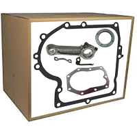 Pleuelstange & Dichtung für Briggs & Stratton Motor 