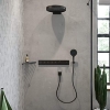 Hansgrohe Raindance Select E hand shower, 3 spray patterns, black-chrome