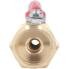 Aramox Winter Purge Adapter Brass, quick coupling for water pipes and vehicles