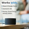 Shelly Plus 1 WiFi Switch 2-Pack for Smart Home Automation