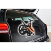 Blaupunkt Fiene 20-inch e-folding bike, orange/black with Dot Blue handlebar bag