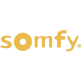 Somfy Camara de Seguridad Exterior - Wi-Fi, сигналізація, 1080p Full HD, Gris