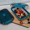 Lurch silicone folding container for food