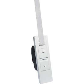 HOMEPILOT - RolloTron Pure DECT | Electric motor for roller shutters. Smart Home accessory: Also suitable for retrofitting! Load capacity: 45 kg
