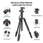 SmallRig CT-10 Camera Tripod, 71" Foldable Aluminum Tripod and Monopod, Detachable 360° Ball Head, 33lbs Payload, Adjustable Height from 16" to 71" for Camera