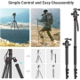 SmallRig CT-10 Camera Tripod, 71" Foldable Aluminum Tripod and Monopod, Detachable 360° Ball Head, 33lbs Payload, Adjustable Height from 16" to 71" for Camera