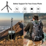 SmallRig CT-10 Camera Tripod, 71" Foldable Aluminum Tripod and Monopod, Detachable 360° Ball Head, 33lbs Payload, Adjustable Height from 16" to 71" for Camera