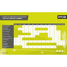 RYOBI RPP755E - Electric heater 220 V, 750 W, for pruning shears, blade length 25 cm, with belt and extension cable