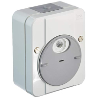 Merten Argus Dimmer-Schalter, ohne Schaltverzögerung, Lichtgrau