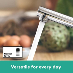 hansgrohe Zesis M33 Küchenarmatur – Niederdruck, 150 mm Auslauf, schwenkbar, Chrom