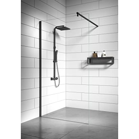 Shower enclosure Badplaats B.V. Florida 90x200 cm – glass, black with nano coating