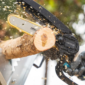 Cecotec MontanaForce 6000 Akku-Astsäge mit 2 Akkus und Koffer