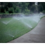 Hunter Static Sprinkler