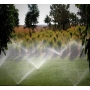 Hunter Static Sprinkler