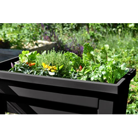 EDA – Espace Potager Veg&Table City 57 L – Zone Retention d'Eau – Пестрые с эвакуацией бушона