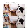 eufy Security Indoor Cam 2K Pan & Tilt, telecamera wi-fi interno, Videosorveglianza con AI per Riconoscimento Persone/Animali, Assistenza Vocale, Visione Notturna, MicroSD non Inclusa
