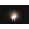 Bombillas LED Philips Hue blancas E14, paquete de 2, regulables con control inteligente