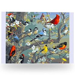 Ledgebay Paint by Numbers Дорослі, від початківців до просунутих