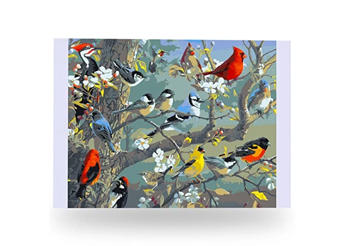 Ledgebay Malen nach Zahlen Erwachsene, Anfänger bis Fortgeschrittene Zahlen-Set mit Acrylfarbe und Staffelei, Malen nach Zahlen Erwachsene (Obstgarten-Puzzle, 40 x 50 cm, ungerahmt) Ledgebay Malen nach Zahlen Erwachsene, Anfänger bis Fortgeschrittene Zahlen-Set mit Acrylfarbe und Staffelei, Malen nach Zahlen Erwachsene (Obstgarten-Puzzle, 40 x 50 cm, ungerahmt)