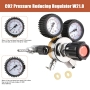 CO2 pressure regulator