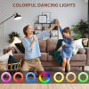 Fede Karaoke Machine for Kids Adults, Mini Karaoke