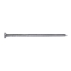 CONNEX B30052 - Clavo, 3,1 x 80 mm, 1,5 kg