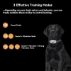 Dog collar against barking – Automatic training collar, white