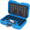 Набор противоугонных болтов для дисков VW Brilliant Tools, 22 шт