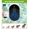 Vogelhaus Kamera 1080P HD, Solar, 2.4G WiFi, Auto-Foto/Video, wasserdicht