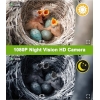 Vogelhaus Kamera 1080P HD, Solar, 2.4G WiFi, Auto-Foto/Video, wasserdicht
