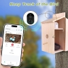 Vogelhaus Kamera 1080P HD, Solar, 2.4G WiFi, Auto-Foto/Video, wasserdicht