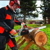 Oregon CS1500 Electric Chainsaw, 45 cm (18 inches), 2400 W, 230 V, self-sharpening, 3-year warranty