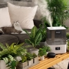 LEVOIT 6-liter ultrasonic aroma humidifier