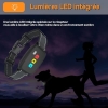 Dog collar with remote control – 3000m range, IPX67, 3 modes