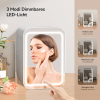 YU YUSING 4L Mini-Kosmetik-Kühlschrank mit LED-Spiegel