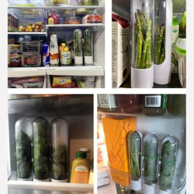 Kräuter-Frischhalter für den Kühlschrank – für frische Kräuter