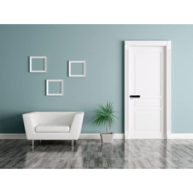 DNT DoorAccess Pro fingerprint door handle