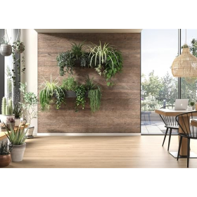 EGGER DecoWall Annaba Natur Eiche Wandverkleidung OSB 1250 x 660 mm