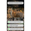 GardePro E8P MAX Wildkamera mit WiFi, 8000 mAh Akku und integrierter SD-Karte