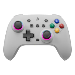 EUNTThe Retro Style Switch Controller, RGB Pro Switch Controller with Hall Joystick, Turbo