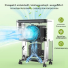 COLAZE dehumidifier 12 L/24 h for rooms up to approx. 30 m², quiet (under 36 dB), with auto-defrost function