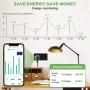 Enchufe Inteligente Wifi con Monitor de Energía con Temporizador, Compatible con Alexa y Google Home, Enchufe Controlado por Voz con Temporizador de Cuenta Regresiva, Verde Claro 1 Pieza