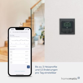 Termostato de pared IP Homematic con salida para interruptor de empresa