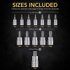 Juego de puntas Torx TR Lexivon, acero S2, 13 piezas, T8-T60