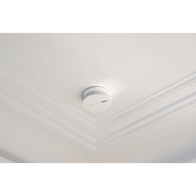 Netatmo Rauchmelder NSA-EC, Smart Home kompatibel