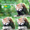 Kejector Wildlife Camera, 4K 32 MP with Night Vision Motion Sensor and 32 GB SD Card