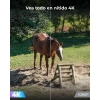 Reolink 4K 8MP - WLAN Außenkamera, 360° PTZ, Nachtsicht, Smart Detection