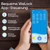 Електронний замок WELOCK SECBN51 з відбитком пальця та WIFIBOX3 для дверей 30–70 мм
