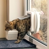Puerta para gatos con microchip SureFlap de Sure Petcare