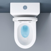 doporro 108T Design Floor-Standing WC Rimless with Soft-Close Mechanism 36 x 63 x 82 cm White
